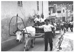 1956_Protesta contadina dopo una grandinata (2)